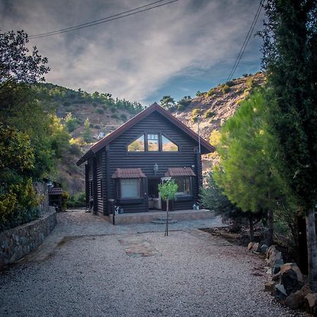 *2 Bdr Log House /Mountains/Queen Bed/Fireplace Gourri 외부 사진