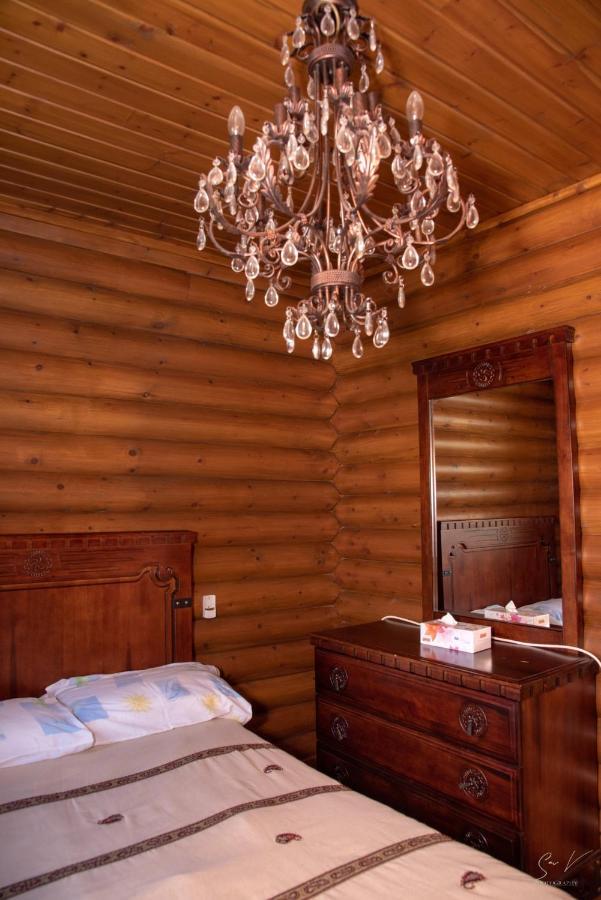 *2 Bdr Log House /Mountains/Queen Bed/Fireplace Gourri 외부 사진