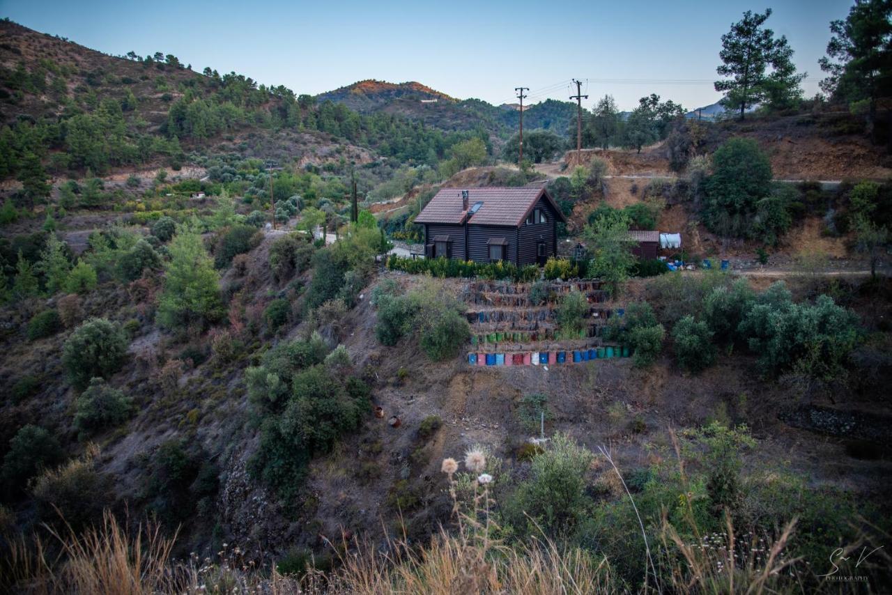 *2 Bdr Log House /Mountains/Queen Bed/Fireplace Gourri 외부 사진