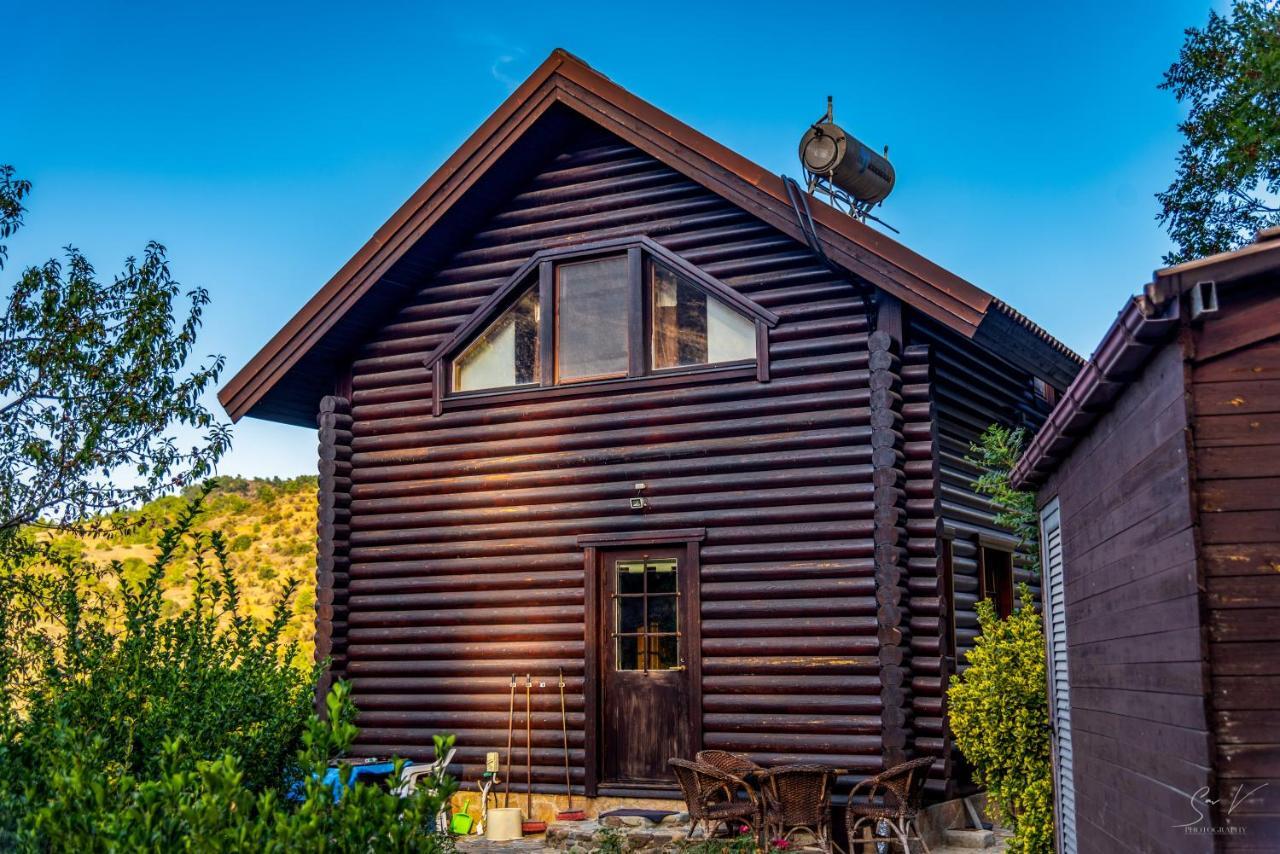 *2 Bdr Log House /Mountains/Queen Bed/Fireplace Gourri 외부 사진