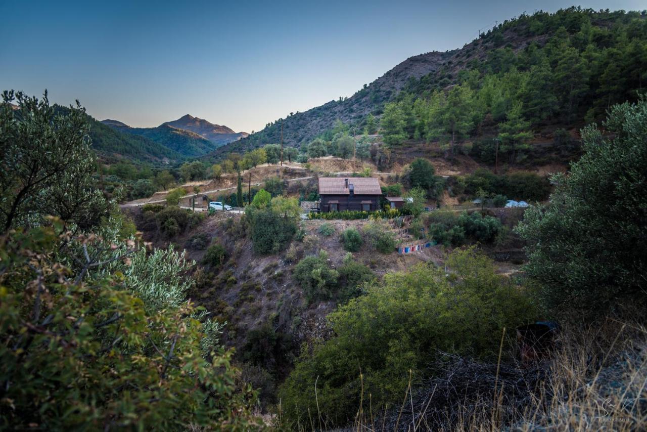 *2 Bdr Log House /Mountains/Queen Bed/Fireplace Gourri 외부 사진